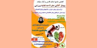 کارگاه آنلاین تغذیه ورزشی زیر نظر انجمن سامبو فارس